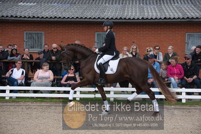 benthus 2019
Billeder fra åbenthus
Nøgleord: duke sofie l christinsen