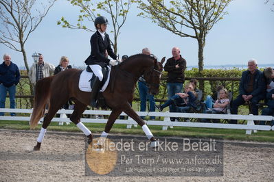 benthus 2019
Billeder fra åbenthus
Nøgleord: duke sofie l christinsen