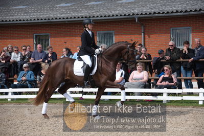 benthus 2019
Billeder fra åbenthus
Nøgleord: duke sofie l christinsen