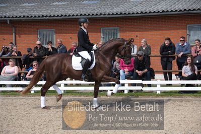 benthus 2019
Billeder fra åbenthus
Nøgleord: duke sofie l christinsen