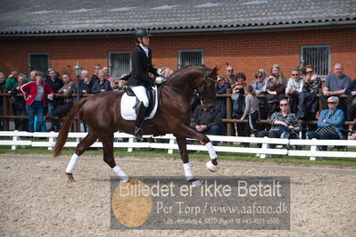 benthus 2019
Billeder fra åbenthus
Nøgleord: duke sofie l christinsen