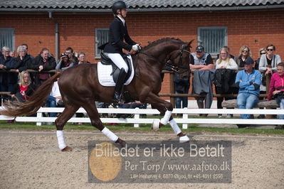 benthus 2019
Billeder fra åbenthus
Nøgleord: duke sofie l christinsen