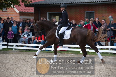 benthus 2019
Billeder fra åbenthus
Nøgleord: duke sofie l christinsen