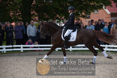 benthus 2019
Billeder fra åbenthus
Nøgleord: duke sofie l christinsen