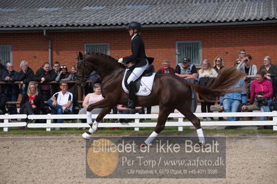 benthus 2019
Billeder fra åbenthus
Nøgleord: duke sofie l christinsen