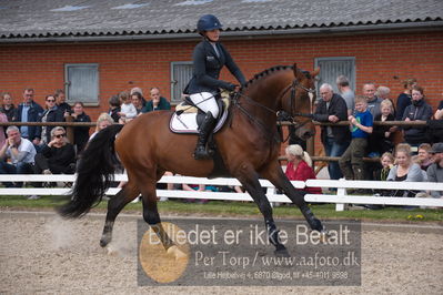 benthus 2019
Billeder fra åbenthus
Nøgleord: laila pdersen;svalegårds gold crelido