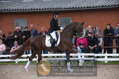 benthus 2019
Billeder fra åbenthus
Nøgleord: de l'or;mette riisager