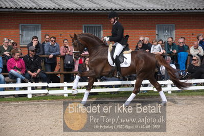 benthus 2019
Billeder fra åbenthus
Nøgleord: de l'or;mette riisager