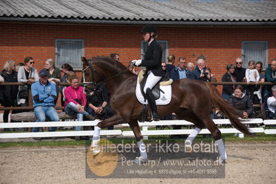 benthus 2019
Billeder fra åbenthus
Nøgleord: de l'or;mette riisager