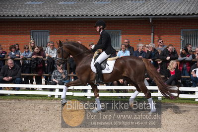 benthus 2019
Billeder fra åbenthus
Nøgleord: de l'or;mette riisager