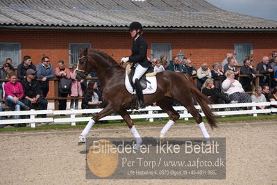 benthus 2019
Billeder fra åbenthus
Nøgleord: de l'or;mette riisager