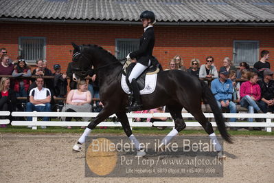 benthus 2019
Billeder fra åbenthus
Nøgleord: rikke bisgaard nielsen;katrinelund adrian