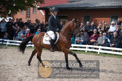 benthus 2019
Billeder fra åbenthus
Nøgleord: røgilds leon;henriette bek