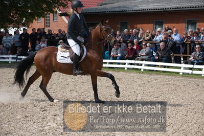 benthus 2019
Billeder fra åbenthus
Nøgleord: røgilds leon;henriette bek