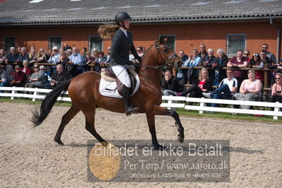 benthus 2019
Billeder fra åbenthus
Nøgleord: røgilds leon;henriette bek