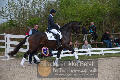 benthus 2019
Billeder fra åbenthus
Nøgleord: Blue Hors livius;christian tudda ruiz