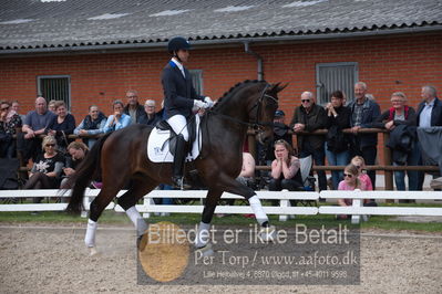 benthus 2019
Billeder fra åbenthus
Nøgleord: Blue Hors livius;christian tudda ruiz