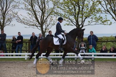 benthus 2019
Billeder fra åbenthus
Nøgleord: Blue Hors livius;christian tudda ruiz