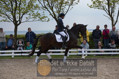 benthus 2019
Billeder fra åbenthus
Nøgleord: Blue Hors livius;christian tudda ruiz