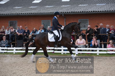 benthus 2019
Billeder fra åbenthus
Nøgleord: Blue Hors livius;christian tudda ruiz