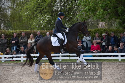 benthus 2019
Billeder fra åbenthus
Nøgleord: Blue Hors livius;christian tudda ruiz