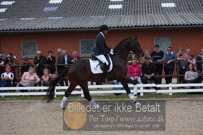 benthus 2019
Billeder fra åbenthus
Nøgleord: Blue Hors livius;christian tudda ruiz