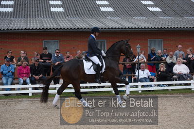 benthus 2019
Billeder fra åbenthus
Nøgleord: Blue Hors livius;christian tudda ruiz