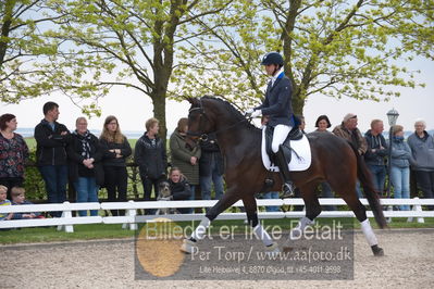 benthus 2019
Billeder fra åbenthus
Nøgleord: Blue Hors livius;christian tudda ruiz