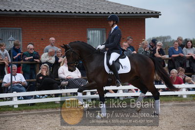 benthus 2019
Billeder fra åbenthus
Nøgleord: Blue Hors livius;christian tudda ruiz