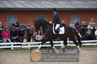 benthus 2019
Billeder fra åbenthus
Nøgleord: Blue Hors livius;christian tudda ruiz