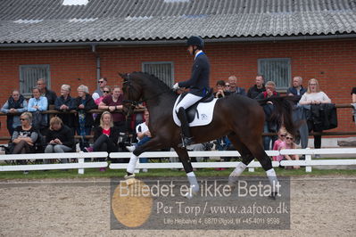 benthus 2019
Billeder fra åbenthus
Nøgleord: Blue Hors livius;christian tudda ruiz