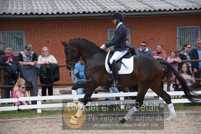 benthus 2019
Billeder fra åbenthus
Nøgleord: Blue Hors livius;christian tudda ruiz