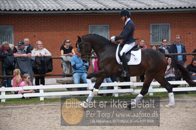 benthus 2019
Billeder fra åbenthus
Nøgleord: Blue Hors livius;christian tudda ruiz