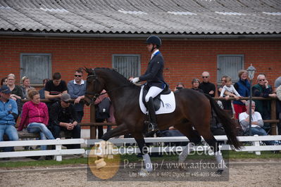 benthus 2019
Billeder fra åbenthus
Nøgleord: Blue Hors livius;christian tudda ruiz