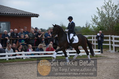 benthus 2019
Billeder fra åbenthus
Nøgleord: Blue Hors livius;christian tudda ruiz