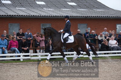 benthus 2019
Billeder fra åbenthus
Nøgleord: Blue Hors livius;christian tudda ruiz