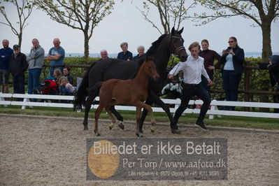 benthus 2019
Billeder fra åbenthus
Nøgleord: olympus føl;peter skikkild