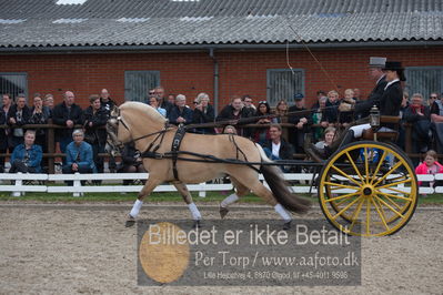 benthus 2019
Billeder fra åbenthus
Nøgleord: gerhøjs eid;niels chr simonsen