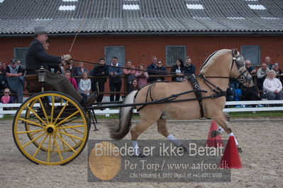 benthus 2019
Billeder fra åbenthus
Nøgleord: gerhøjs eid;niels chr simonsen