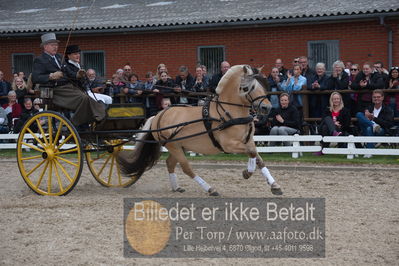 benthus 2019
Billeder fra åbenthus
Nøgleord: gerhøjs eid;niels chr simonsen