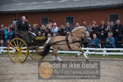 benthus 2019
Billeder fra åbenthus
Nøgleord: gerhøjs eid;niels chr simonsen