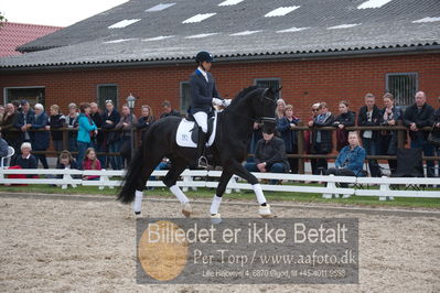 benthus 2019
Billeder fra åbenthus
Nøgleord: Blue Hors kingston;christian tudda ruiz