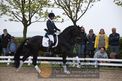 benthus 2019
Billeder fra åbenthus
Nøgleord: Blue Hors kingston;christian tudda ruiz