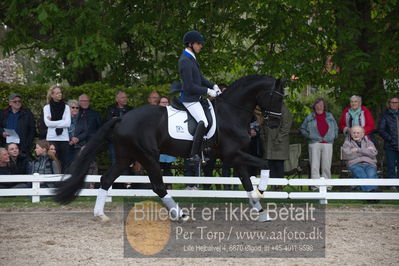 benthus 2019
Billeder fra åbenthus
Nøgleord: Blue Hors kingston;christian tudda ruiz