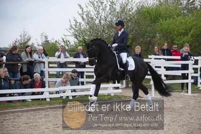 benthus 2019
Billeder fra åbenthus
Nøgleord: Blue Hors kingston;christian tudda ruiz