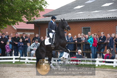 benthus 2019
Billeder fra åbenthus
Nøgleord: Blue Hors kingston;christian tudda ruiz