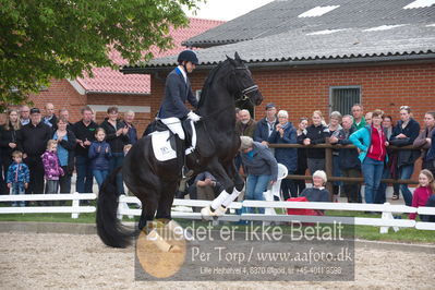 benthus 2019
Billeder fra åbenthus
Nøgleord: Blue Hors kingston;christian tudda ruiz