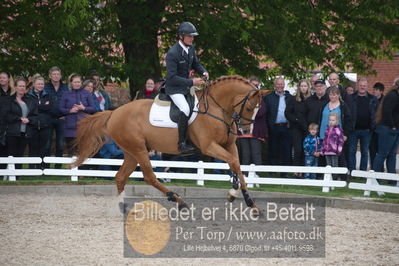 benthus 2019
Billeder fra åbenthus
Nøgleord: elmegårdens dakota;torben frandsen