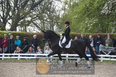 benthus 2019
Billeder fra åbenthus
Nøgleord: freestyle;mette riisager