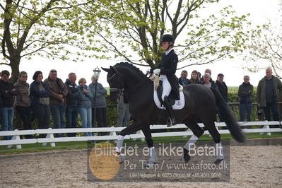 benthus 2019
Billeder fra åbenthus
Nøgleord: freestyle;mette riisager